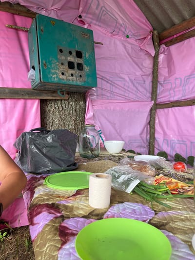 The image captures an indoor scene, possibly a makeshift shelter, with a person's leg visible in the lower right corner. The shelter is constructed with rough wooden beams and covered with pink plastic sheeting, suggesting a temporary or improvised structure. Various objects are scattered around, including a turquoise electrical box, a roll of toilet paper, a glass jar, a black plastic bag, and a green plate or lid. On a patterned blanket, there are food items like a tomato, a loaf of bread, and green onions, as well as a white bowl and a yellow packet with some text. The overall impression is one of resourcefulness and basic living conditions, possibly in an outdoor or semi-outdoor setting given the natural materials and the presence of the person's leg. The lighting suggests it might be daytime, but the weather conditions are not discernible. The scene evokes a sense of pragmatism and perhaps a temporary camp or survival situation.