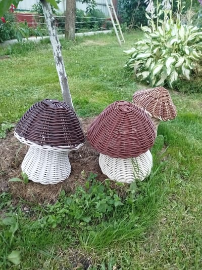 Three wicker mushroom decorations are placed on the ground in a grassy yard. The mushrooms have white bases and brown caps. In the background, a hosta plant with variegated leaves is visible, along with a ladder leaning against a fence. The scene appears to be in a residential garden, possibly in the village of Krupitsy, Minsk Region, Belarus.