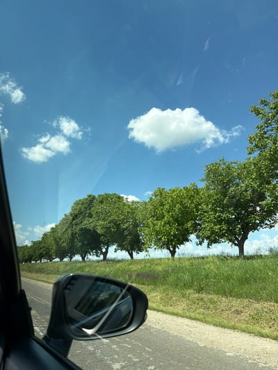The image captures a rural roadside scene, likely in Edineț, Moldova, under a bright, blue sky dotted with fluffy white clouds. The perspective is from within a vehicle, looking out the side window. In the foreground, a car's side-view mirror is visible on the left. Beyond the mirror, a grey asphalt road stretches into the distance, bordered by a vibrant green grassy embankment. A row of lush, mature trees, possibly walnut trees given their dense foliage, lines the top of the embankment, creating a natural boundary. The trees are a dominant feature, with their green leaves contrasting against the blue sky. The overall atmosphere is serene and natural, suggesting a drive through the countryside on a clear day.