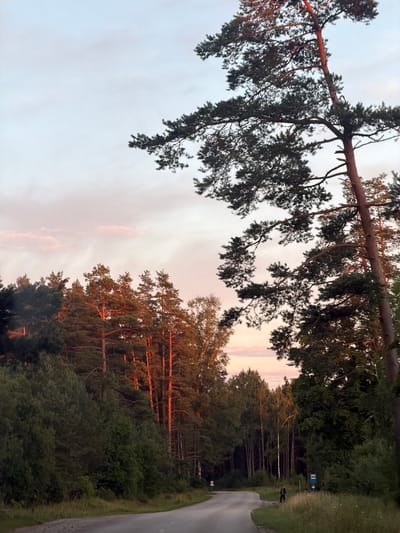A paved road curves through a wooded area at dusk. The sky is a pale pink and blue, with scattered clouds. Tall pine trees line the right side of the road, their trunks illuminated by the setting sun. On the left, a dense forest of green trees rises up a gentle slope. A single person, dressed in dark clothing, stands on the shoulder of the road, facing away from the camera. Further down the road, a blue bus stop sign is visible. The overall scene suggests a peaceful, rural setting in Usma, Latvia.