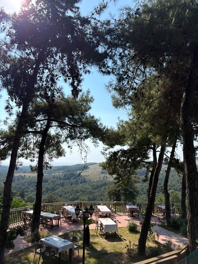 A wide shot captures an outdoor seating area of a restaurant nestled amidst pine trees with a scenic view of rolling hills and the sea in the distance. The seating area features several tables covered with white tablecloths, some adorned with red and white checkered runners, set with plates and cutlery. Wooden chairs surround the tables. A wooden railing borders the elevated terrace, separating it from the grassy area below. The sunlight filters through the dense pine canopy, creating dappled shadows on the ground. The background reveals a lush, green landscape dotted with trees, leading towards a hazy horizon where the sea meets the sky. The scene suggests a tranquil dining experience in a natural setting, likely in or near Kuşadası, Turkey, given the Mediterranean-esque vegetation and coastal proximity.