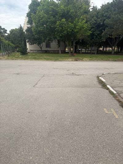 The image shows a paved road in Dolna Mitropolia, Bulgaria. The road surface is gray asphalt. Along the left side of the road is a strip of grass and trees. A building is visible behind the trees. On the right side of the road, there is a paved sidewalk. A yellow marking is visible on the road surface. The sky is overcast.