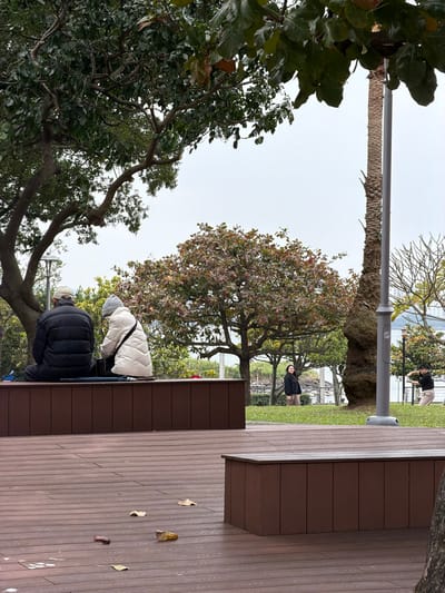 A park scene features a wooden bench with two people seated, clad in winter coats and hats. Another person stands in the distance on the grassy lawn. Trees with varying foliage fill the frame, with one bare tree visible. A light pole and a palm tree tower overhead against an overcast sky. A wooden platform covers part of the ground, scattered with fallen leaves.