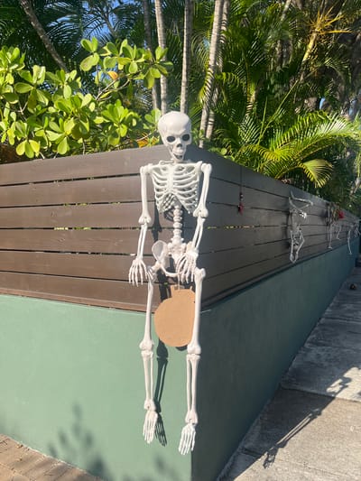 The image depicts an outdoor scene in Fort Lauderdale, United States of America. A large skeleton decoration is prominently displayed, hanging over a brown wooden fence. The skeleton is white and appears to be made of plastic. It has a circular, brown cutout hanging from its waist. Behind the fence, lush green foliage and palm trees are visible, suggesting a tropical or subtropical environment. The fence is mounted on a light green wall. Further down the fence, several other smaller skeleton decorations are also visible, some appearing to be crawling or hanging. A paved walkway runs alongside the wall, with shadows cast by the foliage and possibly the skeletons. The sky above is blue.