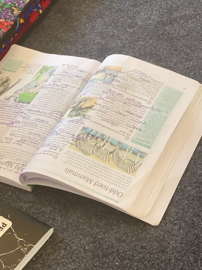 The image shows an open book lying on a dark grey, textured surface that resembles carpet or felt. The book is angled with the left page partially visible. The pages are filled with text and some illustrations, including what appears to be a drawing of animals. Some of the text is handwritten in purple ink, suggesting notes or annotations. The book's spine is visible at the bottom right, and the pages are slightly curled upwards. On the far left, a corner of another object, possibly a notebook or cover with a floral pattern, is visible. The lighting suggests an indoor environment, with the light source coming from above and slightly to the left. The scene is static, with no visible activity. The location is not specified in the image, and Arbagish, Uzbekistan, is not mentioned or depicted in any way.