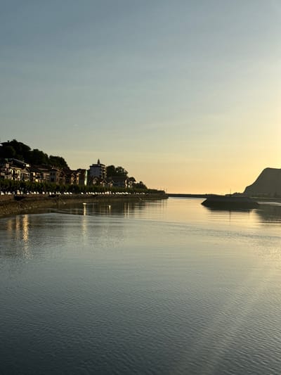 This is a photograph of the Urola River estuary in Zumaia, Spain, at sunset. The water is calm with gentle ripples, reflecting the soft hues of the sky. On the left bank, a row of houses with red-tiled roofs lines the waterfront, backed by a steep, tree-covered hillside. The buildings exhibit a traditional architectural style. Along the waterfront, a line of trees separates the houses from a stone retaining wall. Parked cars are visible along the street in front of the houses. In the distance, on the right side of the estuary, a dark, rocky landmass with a distinct peak juts out into the water, creating a breakwater or natural barrier. The sky is a gradient of pale blue at the top, transitioning to a warm yellow and orange near the horizon, indicating the setting sun. The overall scene is serene and tranquil.