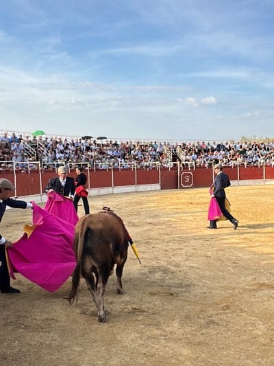 The image shows a bullfighting event in an outdoor arena. The arena is filled with spectators seated in bleachers. Several matadors are present in the arena, one holding a bright pink cape and engaging with a bull. The bull is brown with a yellow band on its back. The ground of the arena is dirt. The sky is visible above the arena, with some clouds present. The event likely takes place in San José del Valle, Spain.