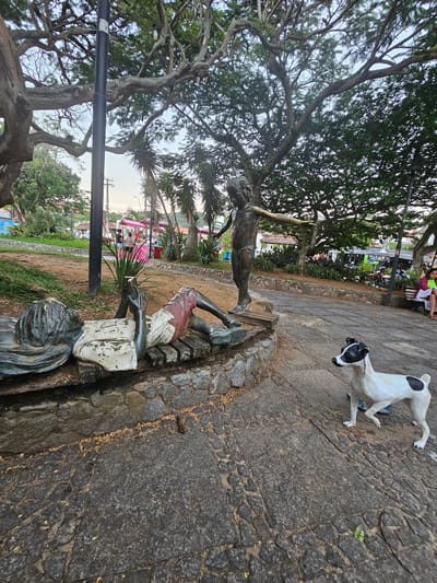 The image shows a public square in Armação dos Búzios, Brazil, with three bronze statues and a dog. One statue depicts a boy sitting on a bench reading, while another, positioned further away, is of a figure standing with outstretched arms. A third statue of a dog is on the ground. The ground is paved with stone. Lush trees and vegetation surround the statues. A streetlight is next to the statues. In the background, there is a view of a street with buildings and people.
