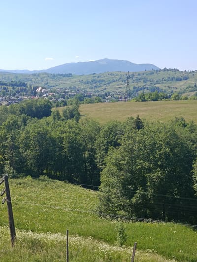 This media file captures a scenic view of a rural landscape under a clear, blue sky. The scene is dominated by rolling hills covered in lush green vegetation, with a scattered village nestled in the valley below. The village features houses with red-tiled roofs, interspersed with trees. In the mid-ground, a large field of dry grass sits between two forested areas, with a tall, metal electricity pylon standing out against the greenery.

The foreground is a vibrant green meadow dotted with numerous small white wildflowers, giving it a textured, almost carpet-like appearance. A wooden utility pole with insulators is visible on the left side of the frame, along with several wires stretching across the meadow. The overall impression is one of a peaceful, sun-drenched day in the countryside. The lighting suggests it is daytime, likely midday or early afternoon, given the bright, even illumination. The location context points to Lazeshchyna, Ukraine, a region known for its mountainous terrain and traditional villages. No people are visible, and there is no discernible text within the image. The image evokes a sense of tranquility and natural beauty.