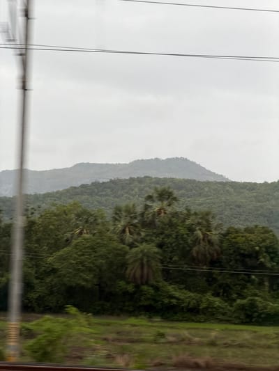The image depicts a cloudy day with a hilly, forested landscape in Saphale, India. In the foreground, a blurred utility pole with wires runs vertically along the left side of the frame. A strip of land, appearing to be a field or grassy area, is visible at the bottom. Beyond this, dense green foliage of trees and palm-like plants dominates the mid-ground. Further in the distance, rolling hills covered in lush green vegetation recede towards the horizon, with a lighter, hazy mountain range in the far background. The overall atmosphere is muted and overcast due to the cloudy sky.