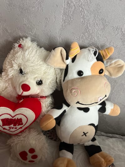 Two stuffed animals, a white teddy bear and a black and white cow, are displayed against a textured gray wall. The teddy bear, on the left, is fluffy and white, with a red nose and a red bow. It holds a red heart with the words "LOVE you" embroidered in white. The cow, on the right, has black and white patches, orange accents on its ears, and a large, light-colored face with pink stitching for rosy cheeks. The stuffed animals appear to be arranged on a surface covered with a white textured fabric, possibly a bedspread or blanket. The scene is an indoor setting. There is no information about the city of Aytos, Bulgaria.