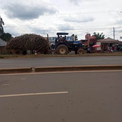 The image depicts a blue New Holland 1002 tractor towing a trailer loaded with what appears to be a large amount of dried plant material, possibly sugarcane, on a paved road. Several individuals are riding on the tractor. The scene is in Sheywe ward, Kenya, as evidenced by the background buildings, including establishments such as "ALPHA CAFE" and a cellular service retailer "Airtel" alongside "M-PESA," and a butchery. People are visible near the buildings, suggesting commercial activity. The sky is overcast. The road surface is brown and exhibits some wear and tear, with a white line dividing lanes. A low concrete barrier separates the road from the immediate roadside.