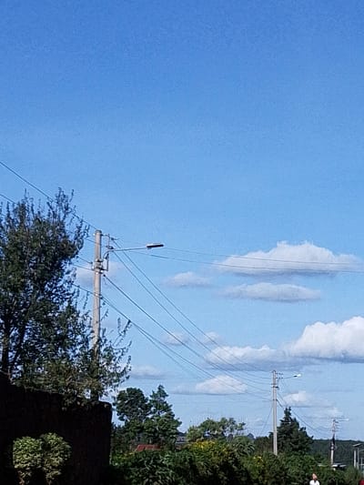 The photograph depicts a scene in Bibirioni ward, Kenya. The sky is blue with scattered white clouds. A utility pole with multiple power lines stretches across the frame. Lush green vegetation, including trees and shrubs, occupies the lower portion of the image. A portion of a dark-colored wall is visible in the lower left corner. Another utility pole is visible in the middle distance. A person is standing in the distance.