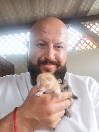 A bald, bearded man wearing a white shirt is holding two very young kittens. One kitten is light orange and the other is grey tabby. The man's left hand is supporting the kittens from underneath, while his right hand is gently holding the grey tabby kitten. A thin red string is tied around the man's left wrist. The background appears to be an outdoor or semi-outdoor covered area with a wooden lattice ceiling, possibly a porch or gazebo, with sunlight filtering through. The scene is likely located in Semypolky, Ukraine.