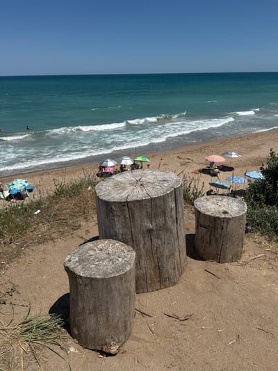 The image depicts a scene on the coast of Shabla, Bulgaria, near the Black Sea. In the foreground, three tree stumps serve as rustic seating. The largest stump is in the center, with a smaller stump to its left and another to its right, slightly further back. The ground around the stumps is sandy and dry, with sparse dry grass and twigs scattered about.
Beyond the stumps, a sandy beach stretches towards the turquoise waters of the Black Sea. Several beach umbrellas are set up on the sand, providing shade for beachgoers. Some people are visible on the beach and in the shallow water, engaged in activities such as swimming. The sea is calm with gentle waves breaking on the shore. The sky is clear and blue, indicating a sunny day. The overall impression is one of a serene and picturesque coastal environment.