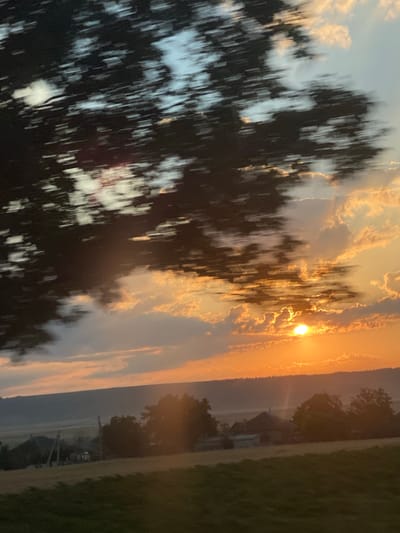 The image depicts a sunset over a rural landscape, possibly in or near Svetlîi, Moldova. The foreground is a blur of green fields, suggesting movement, likely from a vehicle. In the middle ground, a few houses with dark roofs are visible, nestled among trees. The background features a gentle hill or ridge, topped with a line of trees. The sky is dramatic, with the sun a bright orange orb peeking through scattered clouds that are illuminated with warm hues of orange and yellow. A dark mass of tree branches is heavily blurred in the upper left quadrant of the image, indicating motion. The overall impression is one of a fleeting, natural spectacle captured during twilight.