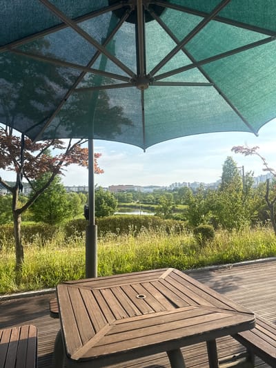 The image captures a tranquil outdoor scene, likely in Gimpo-si, South Korea, on a bright, sunny day. The perspective is from underneath a large, green outdoor umbrella, looking out towards a park-like setting. The umbrella's fabric and metal structure are prominent in the foreground, casting a partial shadow.
To the right of the umbrella, a wooden picnic table and seating area are visible, constructed from weathered wooden planks. The table has a circular opening in its center, possibly for an umbrella pole. Adjacent to the table is a wooden deck, also made of planks.
Beyond the seating area, a lush green landscape unfolds. Tall, dry grasses and various plants form a vibrant border, leading to a body of water, likely a pond or a small lake. In the distance, a line of trees separates the water from a residential area, with several multi-story buildings visible. The sky is clear and bright blue, indicating pleasant weather.
A small, reddish-leafed tree stands between the umbrella and the water, adding a touch of color to the scene. The overall impression is one of peaceful relaxation and enjoyment of nature. There is no visible text in the image.