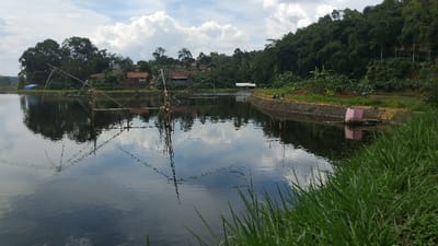 A serene landscape captured on a partly cloudy day features a calm body of water, likely a lake or reservoir, in Kecamatan Panjalu, Indonesia. In the foreground, vibrant green grass frames the right side of the image, leading to the water's edge.

The tranquil water surface beautifully reflects the sky's white clouds and blue patches, as well as the surrounding scenery. Several traditional bamboo fishing structures, possibly lift nets, are erected within the water, their intricate frameworks and reflections clearly visible.

Along the right bank, a stone retaining wall separates the water from a narrow dirt path or land strip. A small, square-shaped structure, colored pink, is partially submerged near this bank. Further along the bank, a few people are discernible, with what appear to be motorbikes nearby.

The background on the left shows a cluster of houses, indicating a village, nestled among dense trees. On the right, a steep hillside covered in lush green forest rises, dominating the background. The scene suggests a peaceful, rural setting, likely in the late morning or early afternoon given the bright but diffused light. There is no visible text in the image.