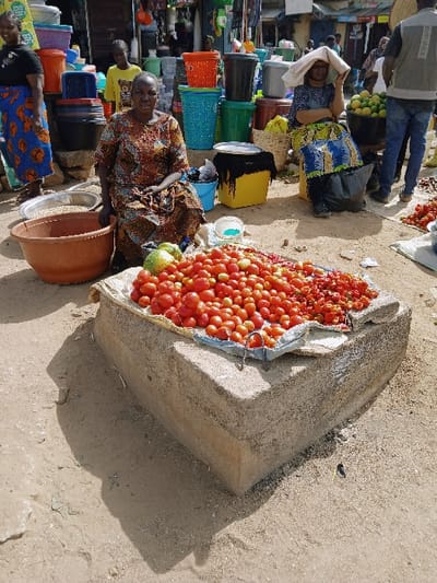 This image captures an outdoor market scene in Mumbwa, Zambia, under bright daylight. In the foreground, a large, rectangular concrete slab serves as a display surface, holding a substantial pile of red tomatoes, a smaller quantity of dried red peppers, and two green gourds, all resting on a light-colored fabric. A woman is seated on the dirt ground directly in front of this display, facing the viewer, dressed in a patterned, multi-colored dress. To her left, an orange plastic basin contains light-colored grains. Behind her, a stack of various colorful plastic basins and buckets is visible. To the far left, partially visible, stands another woman wearing a black top and a blue patterned skirt. To the right of the central seated woman, a second woman is seated, partially obscured, using a white fabric draped over her head as a sunshield. She wears a patterned dress. A yellow plastic bin with a dark lid and a blue bucket are positioned near her. Further to the right, a man in a grey t-shirt with "adidas" visible on the back and blue jeans stands next to a large black basin filled with green citrus fruits. The background reveals multiple market stalls and simple structures, displaying various goods and indicating a busy commercial environment with additional people. The ground throughout the scene is compacted dirt, and shadows suggest overhead sunlight.