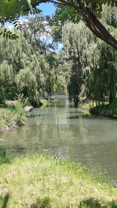 The image depicts a serene canal or river flowing through a park, flanked by lush green trees, likely weeping willows due to their characteristic drooping branches. A narrow footbridge with ornate railings spans the water in the mid-ground, connecting the two banks. The water's surface reflects the dappled sunlight filtering through the dense foliage, creating a shimmering, textured effect. The foreground is dominated by a grassy bank, with patches of sunlight and shadow. The scene suggests a tranquil natural setting within a park environment. The question about Cherkessk, Russia is unrelated to the provided image content.