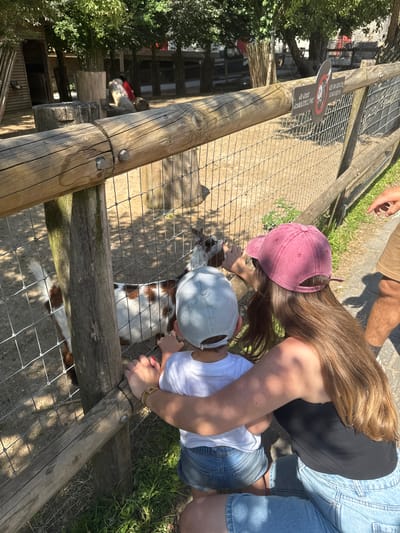 The image depicts a warm, sunny day at the Pairi Daiza zoo in Cambron-Casteau, Belgium. A young child wearing a light blue and white striped cap and a white t-shirt, along with a woman wearing a dark pink baseball cap and a black tank top, are observed from behind as they lean over a wooden fence. The child is looking intently at a small goat with white and brown markings inside a fenced enclosure. The woman's left hand is placed on the fence, and her right arm is around the child. The enclosure itself is made of wire mesh and wood, with a dirt ground. A sign is attached to the fence, displaying a circular red symbol with a line through it, a depiction of a goat, and text in French and English that reads "NE NOUS NOURRISSEZ PAS! DO NOT FEED US!". In the background, trees and some zoo structures are visible, casting shadows on the ground. A person's legs, wearing tan shorts, are visible on the right side of the frame, with their hand pointing towards the enclosure. The overall scene suggests a family outing at the zoo, with a focus on the interaction between the child, the woman, and the goat.