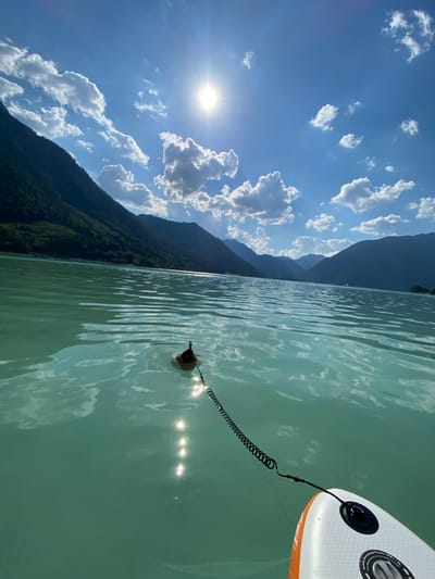 The image depicts a person swimming in a calm, turquoise lake. The scene is set against a backdrop of lush green mountains under a bright blue sky dotted with fluffy white clouds. The sun, shining brightly, casts shimmering reflections on the water's surface. A stand-up paddleboard is visible in the foreground, tethered to the swimmer by a coiled leash. The swimmer appears relaxed and is looking towards the shore. The overall mood is serene and peaceful, evoking a sense of outdoor recreation and enjoyment on a sunny day. The time of day appears to be midday, given the intensity of the sunlight and the clear blue sky. The location is identified as Lärchenwiese, Austria, suggesting a scenic alpine setting. There is no visible text in the image.