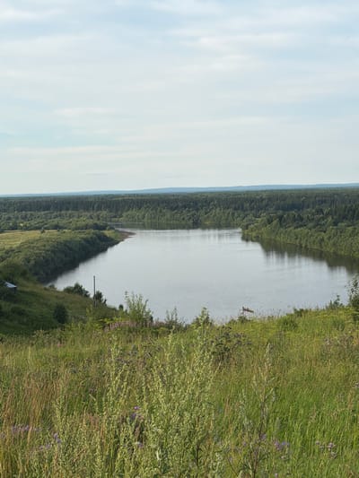 The image depicts a wide river flowing through a densely forested area. The river is calm with gentle ripples reflecting the sky. On the right bank, tall green grass and wild flowers create a vibrant meadow, with some purple flowers visible. A small, light-colored object, possibly a kayak or canoe, floats on the water near the right bank. A single wooden pole, likely a utility pole, stands on the grassy bank. The forest on the left bank is a deep green, extending as far as the eye can see, with a hazy blue horizon suggesting a vast expanse. The sky is mostly overcast with soft, white clouds. The lighting suggests it is daytime, likely late afternoon or early morning given the soft light. The scene conveys a sense of tranquility and natural beauty. No text is visible in the image. The location context of Cherdyn, Russia, suggests a potentially remote and wild natural setting.