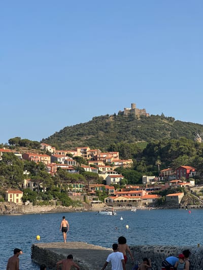 The image depicts a coastal town built on a steep hillside, with houses painted in vibrant colors of orange, yellow, and white, clustered together and reaching towards the summit. The hillside is covered in dense green foliage, with a prominent stone castle ruin visible near the top. Below the town, a clear blue body of water stretches out, with a few boats dotted on its surface.

On the right side of the image, a rocky shoreline is occupied by several people. One individual, wearing black shorts, is captured mid-air, appearing to be jumping or diving into the water. Other people are gathered on the rocks, some spectating, and others are partially submerged in the water. The sun is bright, suggesting it is a clear, sunny day, likely late morning or early afternoon, given the shadows. The overall scene conveys a sense of summer leisure and recreational activity by the sea. There are no visible text elements in the image. The location context provided is Collioure, France, which aligns with the architectural style and coastal landscape.