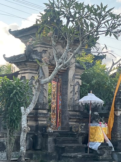 The image depicts a traditional Balinese temple gate in Mendoyo, Indonesia. The ornate stone structure features multiple tiers and intricate carvings, topped with curved, roof-like elements. A flowering tree with a gnarled trunk stands prominently in front of the gate, its branches extending across the frame. To the right of the gate, a white ceremonial umbrella with decorative fringe is positioned next to offerings wrapped in golden and white fabric, adorned with pink flowers and thin sticks. A vibrant yellow flag is visible on the far right. The gate itself has a richly decorated entrance with intricate patterns in red, gold, and black. Lush green foliage surrounds the temple, suggesting a tropical environment. The sky above is a pale blue with scattered clouds, and power lines are faintly visible. The scene is captured during daylight.