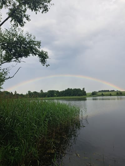 The image depicts a tranquil natural scene with a rainbow arching across a cloudy sky. The foreground features lush green reeds and the branches of trees, adding a sense of depth and texture. To the right, a calm body of water reflects the overcast sky and the subtle hues of the rainbow. The background reveals a densely wooded shoreline, suggesting a rural or natural environment. The overall mood is serene and peaceful, evoking a sense of calm after a rain shower. The time of day appears to be late afternoon or early evening, given the soft, diffused light. The location is specified as Крапівенскі сельскі Савет, Belarus. There is no visible text in the image.