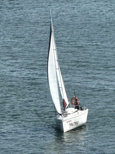 The image shows a white sailboat in a body of water. The sailboat appears to be capsized or partially submerged, with its hull visible above the water. A person can be seen on board the sailboat, holding onto a life preserver. The water has a textured, rippling appearance, suggesting it might be choppy. The scene is likely outdoors, given the presence of the sailboat and the water.
Visible text on the sail reads "NAUTIGO" and "NANGÓ".
The image's style is painterly, with a visible texture that resembles brushstrokes. The lighting suggests daytime, but no specific time can be determined. The overall impression is one of a dramatic event at sea, with the capsized sailboat and the person struggling for survival. The location context provided is Mikołajki, Poland, which is known for its lakes, making it a plausible setting for a sailing incident.