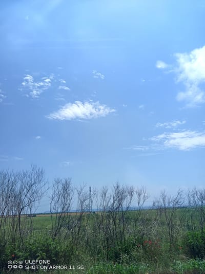 The image depicts a rural landscape under a clear, bright blue sky with scattered white cumulus clouds. Approximately the upper two-thirds of the frame are occupied by the sky. The lower third features a dense foreground of slender, leafless, dark-branched trees or tall shrubs. Beneath these, a vibrant green undergrowth of grasses and various plants covers the ground, with clusters of red poppies and small white flowers visible, particularly towards the bottom right.

Beyond the foreground vegetation, in the midground, are expansive green fields, suggesting agricultural land or grassland. In the far distance on the horizon, faint, hazy outlines of hills or low mountains can be seen. A prominent, tall, dark metallic lattice structure, resembling a power pylon or telecommunications tower, rises from the midground on the right side of the image, extending into the sky.

The scene is illuminated by direct sunlight, indicating a clear, daytime setting. There are no individuals, animals, or visible human actions or interactions depicted. A digital watermark "ULEFONE SHOT ON ARMOR 11 5G" is embedded in white text at the bottom left corner. The image captures a serene natural environment in Krustina, Bulgaria.