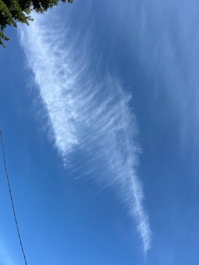 The image shows a bright blue sky with a wispy cloud formation stretching diagonally across the frame. A black wire runs vertically along the left side of the image, and the upper left corner shows the green needles of a coniferous tree. The location is identified as Московский Литератор Снт, Russia.
