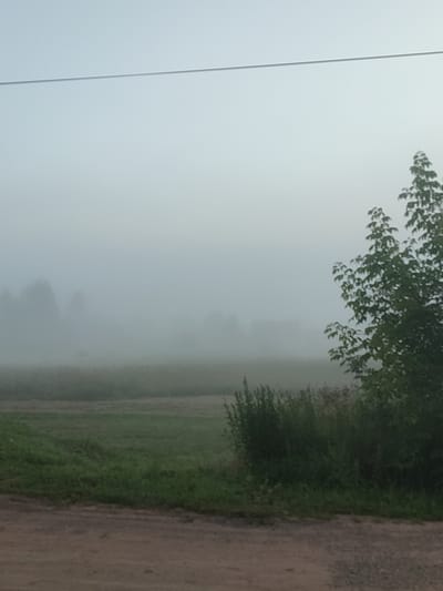 The image depicts a misty rural landscape, likely in or near Большая Уса, Russia. A dirt road occupies the foreground, leading into a field of green grass that stretches into the distance. Dense fog obscures the middle ground, where the faint outlines of trees and possibly some buildings can be discerned. A prominent tree with green foliage stands on the right side of the frame, its branches reaching towards the hazy sky. A thin, horizontal line, possibly a wire or power line, is visible across the upper portion of the image. The overall atmosphere is serene and quiet, with no human presence or activity evident.