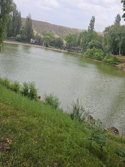 This is a wide-angle, landscape-oriented photograph taken outdoors, likely in the late morning or early afternoon, given the bright, diffused light and overcast sky. The scene depicts a tranquil body of water, possibly a lake or reservoir, with a gently rippling surface reflecting the muted, greenish hue of the water.
The shoreline is a mix of lush green grass and dense foliage on the right side of the frame, with some rocky outcrops partially visible near the water's edge. To the left, the landscape rises into a gently sloping, barren hillside under a pale, cloudy sky. Along the base of this hill, a line of trees creates a verdant border between the hill and the water. Behind the trees, a few structures with white walls and dark roofs can be observed, suggesting human presence or development in the area.
Several tall, slender trees with feathery leaves line the water's edge, their branches swaying slightly, indicating a light breeze. The overall atmosphere is peaceful and natural, with no people or animals prominently visible. The location cues, such as the arid hillside and the type of vegetation, combined with the provided location context of Chong-Aryk, Kyrgyzstan, suggest a semi-arid or mountainous environment. There is no visible text in the image.