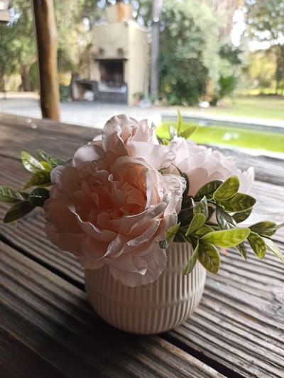 A close-up, eye-level, outdoor shot features a pale pink artificial floral arrangement in a fluted, off-white ceramic vase. The vase rests on a weathered wooden surface with pronounced grain patterns, likely a table or deck. The flowers, with their soft, layered petals, are slightly out of focus, drawing attention to their delicate appearance. Dark green artificial leaves are interspersed among the blooms. In the background, a blurred scene depicts an outdoor living space. A stone or brick fireplace with a dark opening is visible, suggesting a patio or garden area. Beyond that, a well-maintained green lawn stretches towards a body of water, possibly a swimming pool, reflecting the bright sky. Trees with lush foliage frame the background, indicating a suburban or residential environment in Midrand, South Africa, characterized by its ample green spaces and outdoor amenities. The lighting suggests it is daytime, with soft, diffused sunlight.