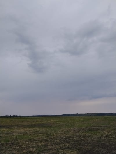 The image depicts a rural landscape under a cloudy sky. The foreground consists of a field with patches of tilled earth and dry vegetation. Beyond this, a wider expanse of green grass stretches towards a distant treeline that forms a dark, horizontal band against the horizon. The sky is overcast with various shades of grey clouds, obscuring any direct sunlight. The scene appears to be located in the village of Ustyvytsya, Ukraine, suggesting a natural or agricultural setting. There are no people or specific objects of interest visible in the frame.