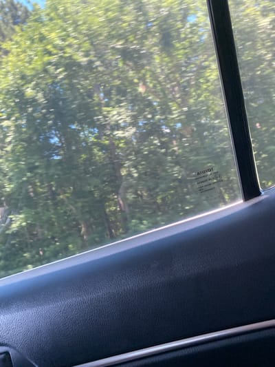 The image shows the interior of a vehicle looking out through the rear passenger window. The window has a Toyota logo and some text printed on it. The exterior view is blurred due to the motion of the vehicle, showing green trees and blue sky. A portion of the car's dark interior, likely the door panel and armrest, is visible in the foreground. The scene suggests travel through a wooded area.