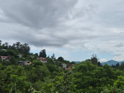 The image depicts a cloudy day in Charnali, Georgia. The foreground is filled with lush green trees and foliage, with some branches and leaves visible in focus. In the mid-ground, several houses are scattered across a hillside, interspersed with more trees. These houses appear to be of various sizes and architectural styles, some with visible roofs of red and beige. The background shows more trees and rolling hills that fade into the distance, suggesting a rural or semi-rural setting. The sky is dominated by heavy, grey clouds, with some lighter patches and hints of blue sky peeking through. The overall impression is one of a natural landscape dotted with human habitation under a dramatic, overcast sky.