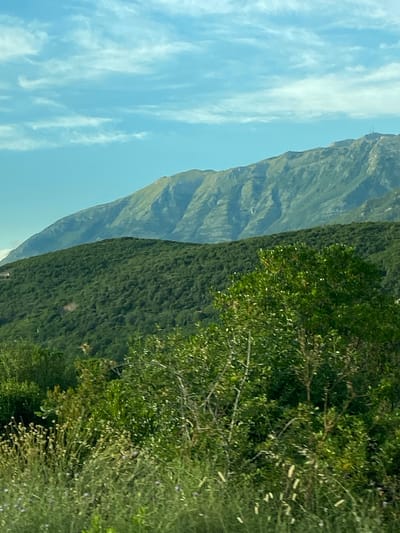 A scenic view of rolling green hills meeting a distant, rugged mountain range under a partly cloudy blue sky. In the foreground, lush green foliage and wildflowers dominate, with a large, leafy tree on the right. The middle ground is covered in dense green trees that ascend the slopes of a smaller, rounded hill. Further back, the imposing mountain range displays distinct, layered ridges and appears to be covered in sparse vegetation. A few man-made structures, possibly antennas, are visible atop the highest peak in the distance. The scene depicts a natural, mountainous landscape.