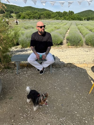 In the city of Semogorskiy, Russia, a bald man with a beard, wearing sunglasses and a black t-shirt, is seated on a wooden bench in front of a lavender field. He is wearing white pants and black shoes. The man has tattoos on his arms and is holding a blue object in his hands. A small dog with black and tan fur and a white tail is standing on a leash in front of the bench, looking to the right. The background shows rows of lavender plants stretching into the distance, with rolling green hills and a clear blue sky. White triangular flags are strung across the top of the image. The ground in front of the bench is covered with gravel and dirt.