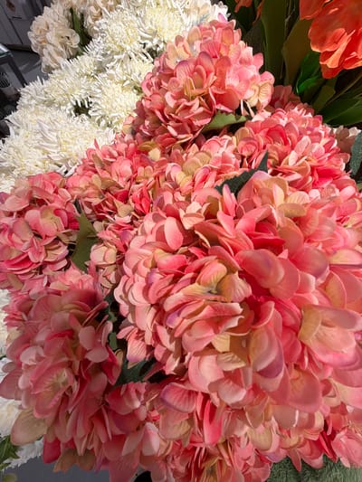 The image is a close-up, overhead shot of a vibrant floral arrangement featuring large, dense clusters of pink and coral-colored hydrangeas. To the left, a contrasting bunch of white, fluffy flowers, possibly chrysanthemums or similar, provides a visual counterpoint. The hydrangeas are predominantly a soft pink with hints of coral, peach, and cream, their numerous small petals creating a rich texture. Some darker green leaves are interspersed throughout the arrangement, adding depth. The lighting suggests it is daytime, with soft shadows indicating natural light. The focus is entirely on the flowers, with the background blurred, suggesting the arrangement might be part of a larger display or bouquet. There are no people or specific setting cues visible that would pinpoint a location beyond a general floral display. No text is visible in the image.