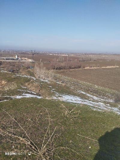 An expansive landscape under a clear blue sky shows fields of brown and green, with patches of melting snow. Distant buildings and power lines are visible on the horizon, shrouded in a light haze. In the foreground, dry branches and sparse vegetation dot the landscape, casting shadows in the lower right. "REDMI NOTE 12" is watermarked in the corner.