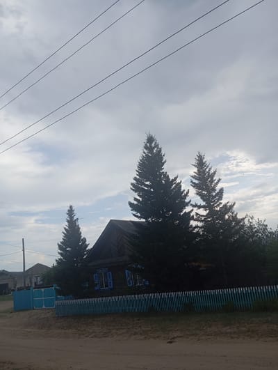 The image depicts a scene in the city of Novodesyatnikovo, Russia. A dirt road runs in the foreground, leading towards a wooden house with a dark roof and blue shutters. A light blue picket fence runs along the front of the property, separating it from the road. Several tall evergreen trees are visible, with the largest one positioned prominently in front of the house. In the background, more trees and some buildings can be seen. Power lines are strung across the sky, which is overcast with clouds. The overall impression is of a rural or semi-rural residential area.