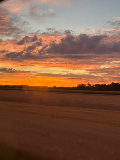 The image depicts a rural landscape at sunset, with a vast, golden-brown field occupying the foreground. The field appears to be agricultural, possibly harvested wheat or rye, with subtle textures suggesting rows or disturbed soil. In the midground, a line of dark green trees forms a horizon against the vibrant sky. Above the trees, the sky is a dramatic display of color, transitioning from a bright, intense orange near the horizon to softer pinks and purples, and finally to a pale blue at the very top. Wispy, elongated clouds are illuminated by the setting sun, creating a textured, painterly effect. The scene is devoid of any human presence or artificial structures, conveying a sense of natural tranquility. The location is specified as Dopiewo, Poland, indicating a rural setting within that region.