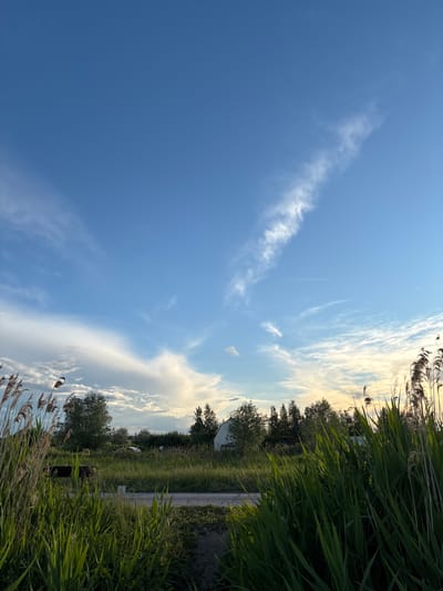 The image presents a view of Khryashchevka, Russia, featuring a bright blue sky with streaky clouds. Tall green grass and reeds frame the right side of the image and reach towards the sky in the foreground. In the distance, trees are visible along with a narrow road and what appears to be some sort of structure. The overall impression is a late afternoon scene near a meadow or field, with the focus on the natural elements of sky and vegetation.