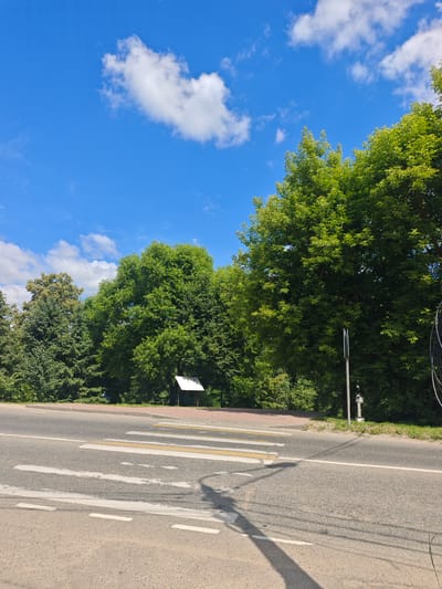 This media file captures a bright, sunny day in Chekhov, Russia, with a clear blue sky dotted with fluffy white clouds. The scene is dominated by lush green trees that line the background, their leaves shimmering in the sunlight. In the foreground, a pedestrian crossing with white and yellow stripes is clearly visible on a paved road. The crossing is empty, with no people or vehicles present, suggesting a quiet moment. To the right of the crossing, a lamppost stands tall, and behind it, a white sign on a wooden post is partially visible amongst the trees. The overall impression is one of a peaceful, natural setting on a beautiful summer day. There is no visible text in the image.