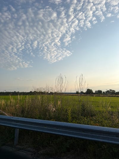 The image depicts a roadside scene with a guardrail in the foreground, overlooking a field and a distant tree line under a sky filled with cumulus clouds. The field appears to be agricultural, possibly a crop of young grain, with patches of dry grasses and reeds in the immediate foreground. The guardrail is metallic and shows signs of wear. The sky is a pale blue with scattered white clouds, suggesting it is daytime, possibly late afternoon or early morning given the soft lighting. The overall impression is of a rural or semi-rural setting. The presence of the guardrail indicates a road adjacent to the field. Without further context, it is impossible to definitively place this scene in Novara, Italy.