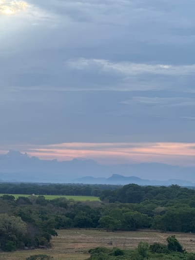 This media file depicts a landscape scene in Shastrawela, Sri Lanka. The image is oriented vertically, with the sky dominating the left side and the landmass occupying the right. The sky is a gradient of soft blues and grays, with wisps of white clouds interspersed. A band of pale pink light streaks vertically through the sky, suggesting it is either sunrise or sunset.

The right side of the image shows a layered landscape. In the foreground, a dense forest of dark green trees stretches horizontally across the frame. Behind the forest, layers of mountains fade into a hazy, bluish distance. Between the forest and the distant mountains, there appears to be a strip of green agricultural land. To the right of the forest, a field with dry, light brown grass and some scattered vegetation is visible. The overall impression is one of natural beauty and tranquility. The time of day is likely dawn or dusk, given the lighting in the sky. The weather appears to be clear, with some cloud cover. No people or specific objects are discernible in the image. There is no visible text.