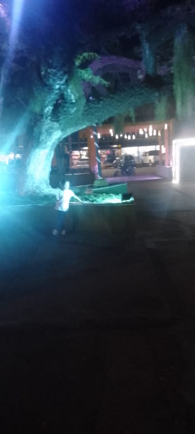 This image depicts an outdoor nighttime scene in La Fría, Venezuela. The foreground is dark, leading to a central area illuminated by diverse artificial light sources. A large, gnarled tree dominates the left side, bathed in intense blue and cyan light, with its branches extending across the upper portion of the frame. In the mid-ground, a rectangular planter containing low green foliage is prominently lit with green light. A single individual, likely a child or young person, stands slightly left of center, facing partially right, with their left arm extended towards or resting on the planter. This person wears a light-colored top, dark pants, and light-colored shoes. Behind the planter, to the right of the tree, a tall, slender, reddish-brown sculpture stands upright. The background features a street or roadway occupied by multiple blurred vehicles, including what appears to be a white van and several motorcycles. Beyond the street, a line of buildings displays illuminated windows, storefronts, and various vertical light fixtures, some emitting warm yellow, pink, and purple light. A distinct, bright rectangular light source is visible on the far right of the scene. The image exhibits significant lens flare from an unseen light source positioned to the upper left.